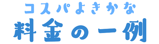 コスパよきかな、料金の一例
