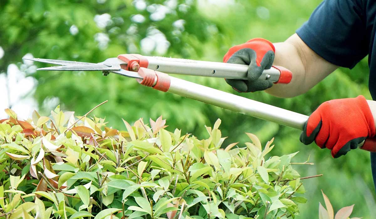 便利屋まあくん4