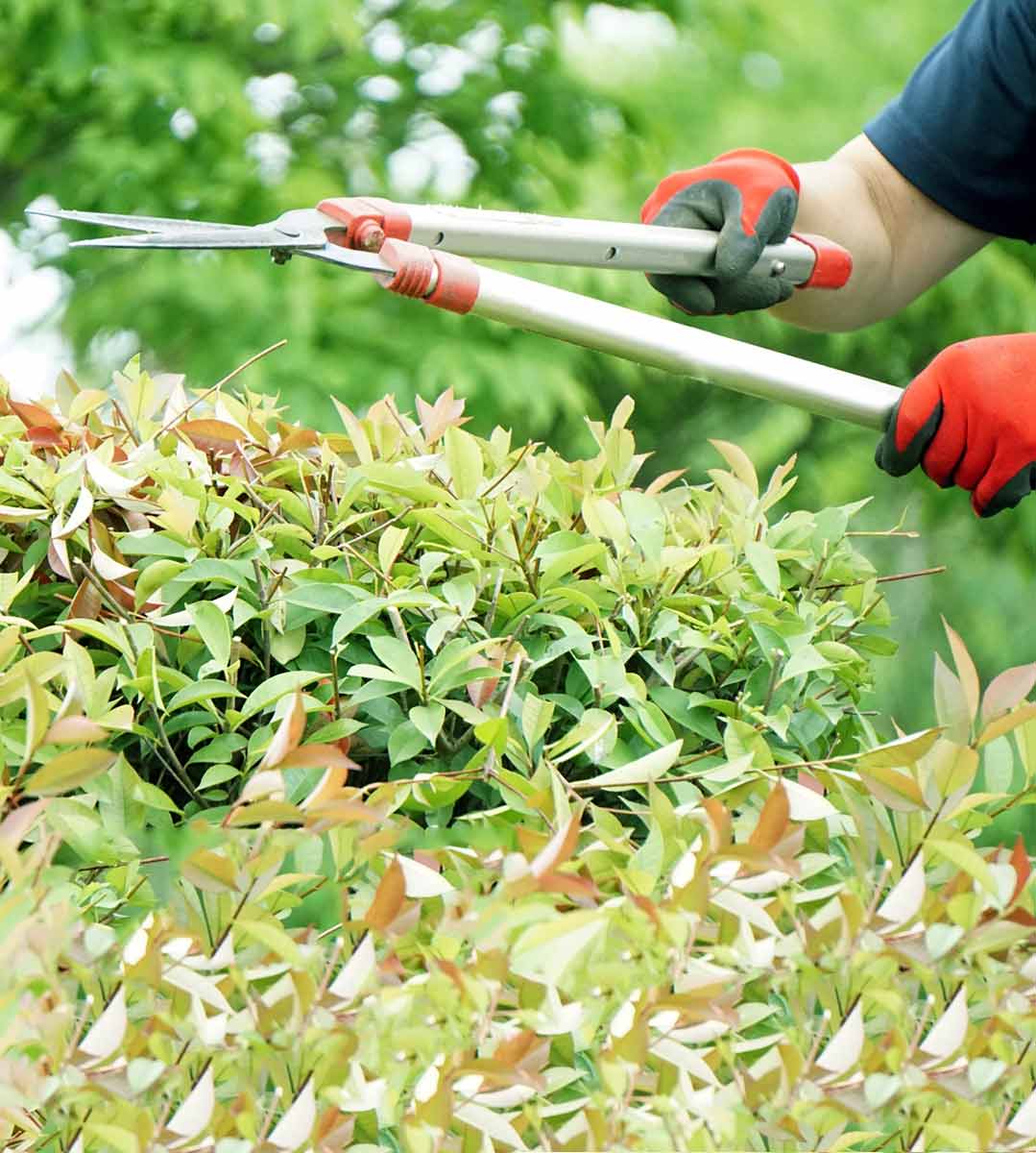 便利屋まあくん4